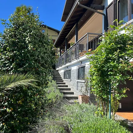 Willa Raggio Di Sole *